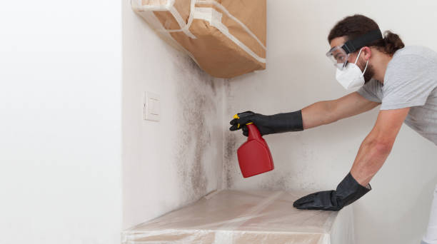 Professional Attic Mold Remediation technician working in Oaklyn, NJ