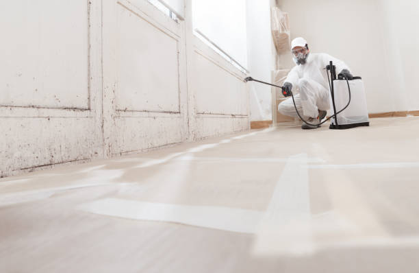 24/7 Emergency Attic Mold Remediation experts in Oaklyn, NJ
