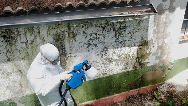 Top rated local Attic Mold Remediation specialists in Oaklyn, NJ